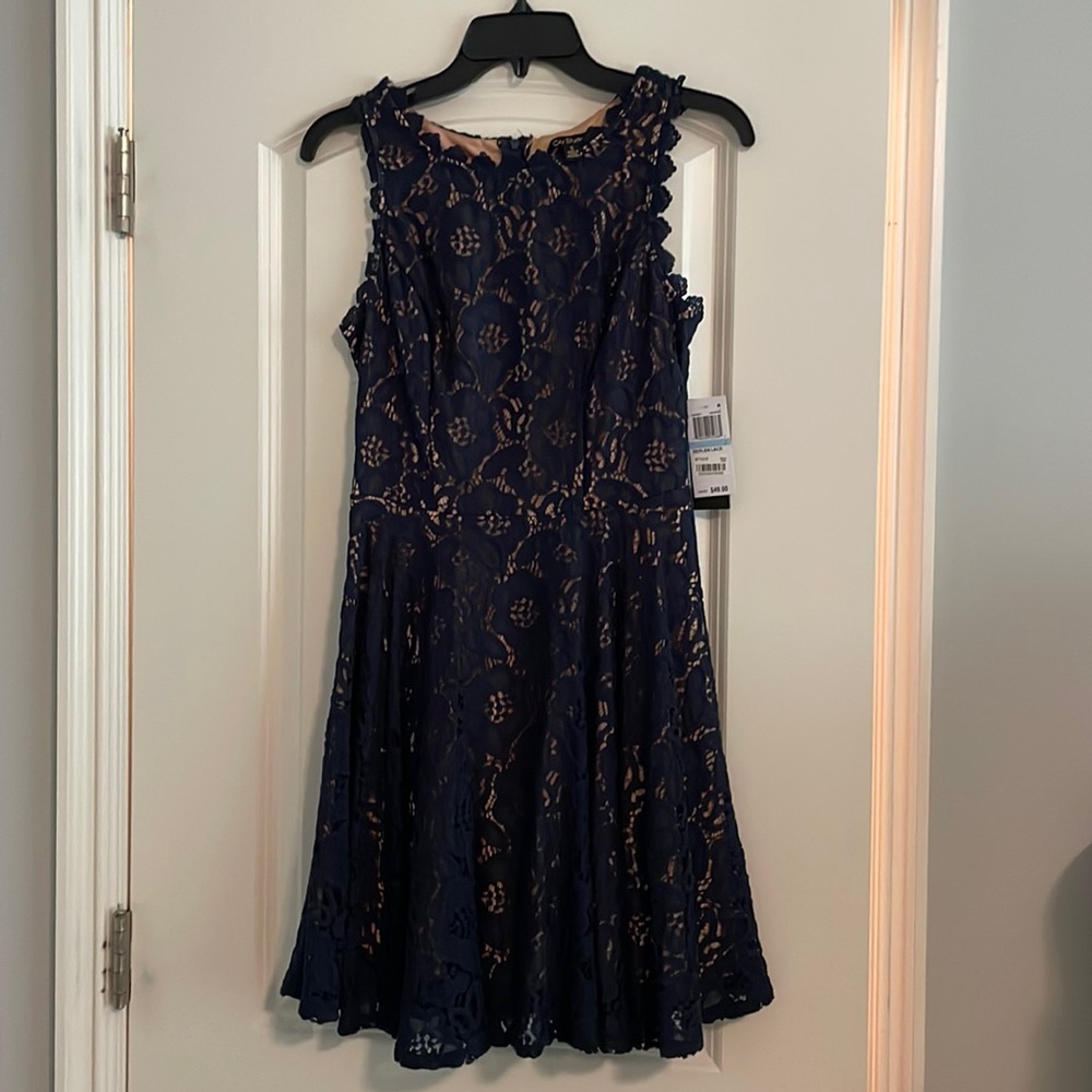 Navy/nude lace dress